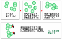 臭氧消毒器的結(jié)構(gòu)是怎樣的？